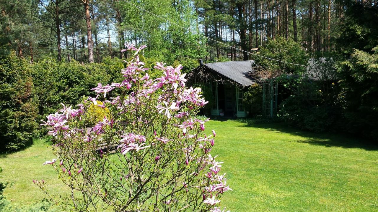 Domek Letniskowy Na Kaszubach Lub Apartament Z Kominkiem Puck Exteriör bild