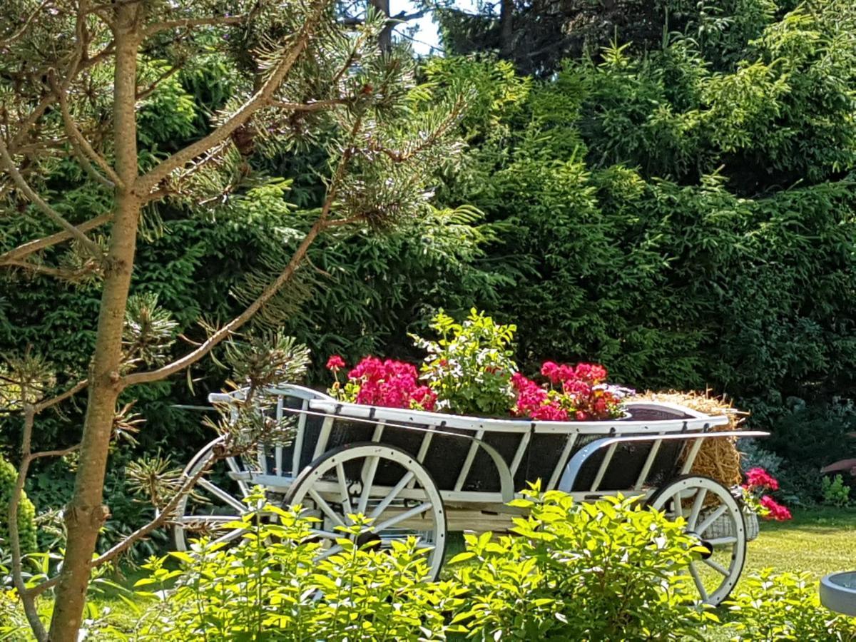 Domek Letniskowy Na Kaszubach Lub Apartament Z Kominkiem Puck Exteriör bild